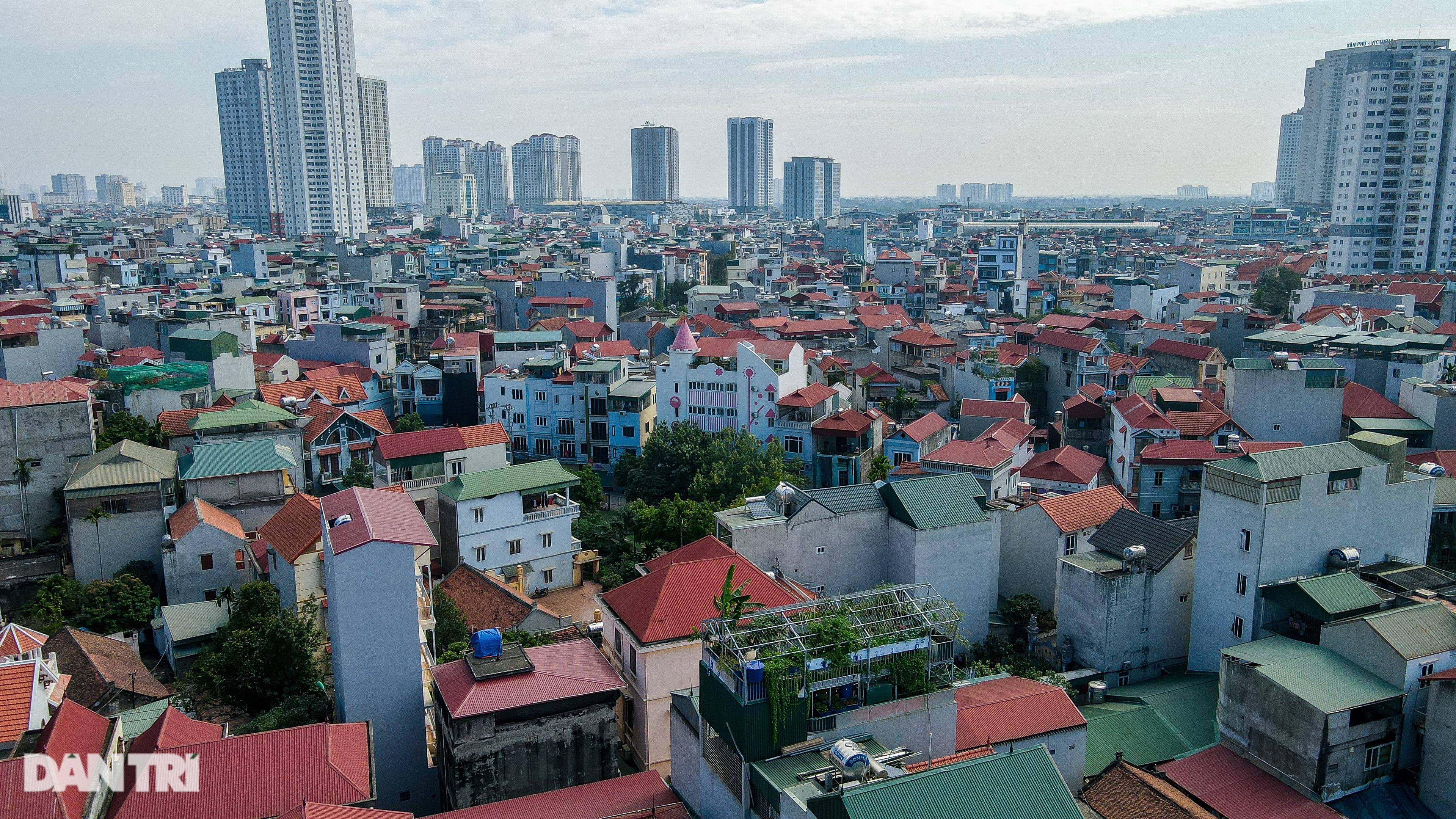 Vườn lười của gia đình ở Hà Nội: Gà đầy chuồng, cá, lươn bơi tung tăng - 14 Vườn lười của gia đình ở Hà Nội: Gà đầy chuồng, cá, lươn bơi tung tăng - 14