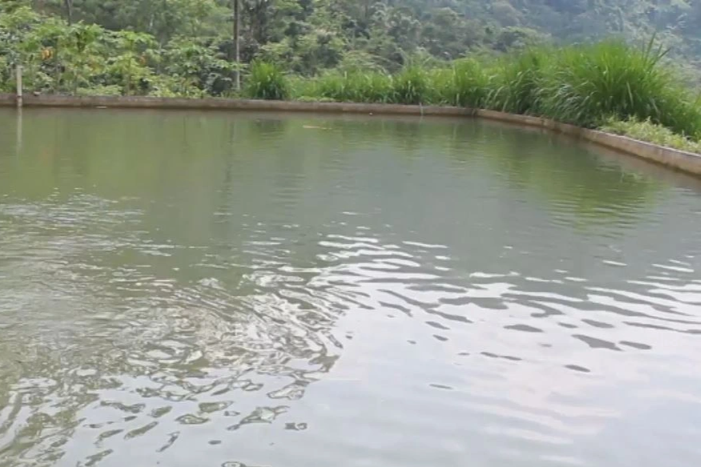 Hai anh em ruột đuối nước tử vong dưới ao của gia đình - 1 Hai anh em ruột đuối nước tử vong dưới ao của gia đình - 1