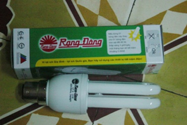 Trả lương tháng cận Tết bằng... bóng điện