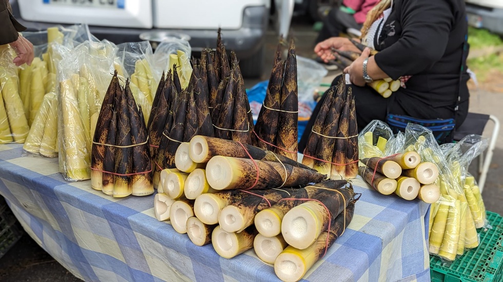 Châu Âu đắt đỏ, mẹ Việt trổ tài nấu cơm chưa đến 200.000 đồng cho 3 người - 3 Châu Âu đắt đỏ, mẹ Việt trổ tài nấu cơm chưa đến 200.000 đồng cho 3 người - 3