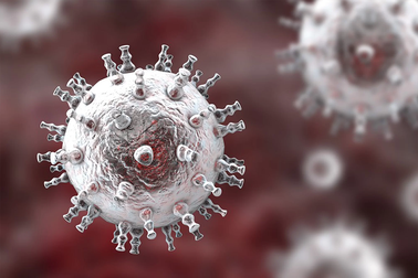 Xuất hiện biến thể của virus Herpes