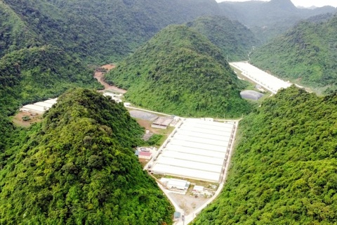 Ba người tử vong, 4 nạn nhân bị thương tại trang trại lợn ở Thanh Hóa