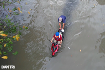 Khu dân cư ở TPHCM ngập nước quanh năm do triều cường