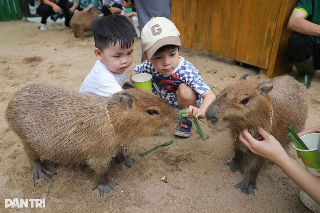 Porträtt av zoo-stjärnan som fick Son Tung M-TP att komma och fotografera - 2 Chân dung ngôi sao Thảo Cầm Viên khiến Sơn Tùng M-TP tìm đến chụp ảnh - 2
