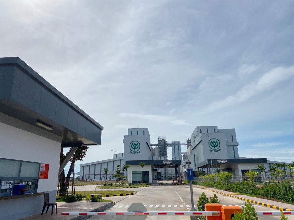 Bình Phước có tổ hợp chế biến thịt gà khủng nhất Việt Nam - 1