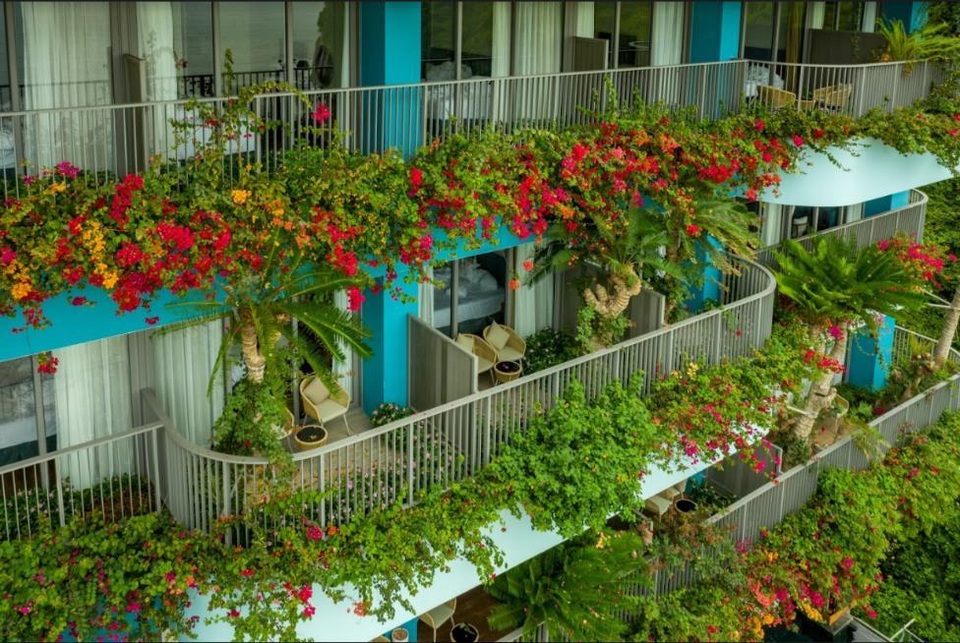 Nhắc đến Cát Bà là nhắc đến Flamingo Cat Ba Resorts - 3 Nhắc đến Cát Bà là nhắc đến Flamingo Cat Ba Resorts - 3