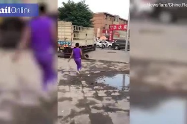 Khỉ trộm xe đạp cưỡi đi gây náo loạn đường phố