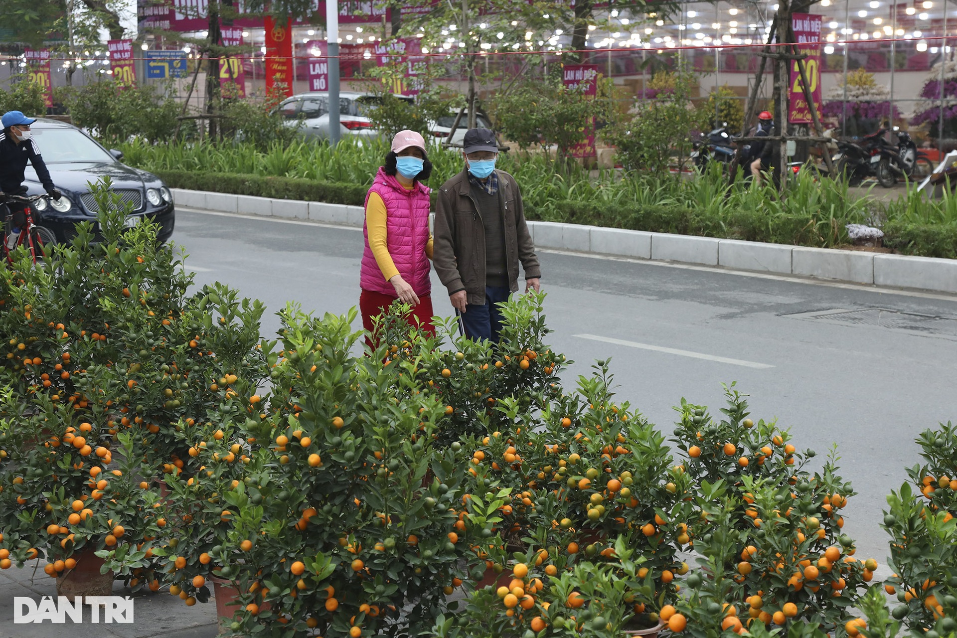 Nhộn nhịp người mua sắm tại chợ hoa tết đường Lạc Long Quân - 5 Nhộn nhịp người mua sắm tại chợ hoa tết đường Lạc Long Quân - 5