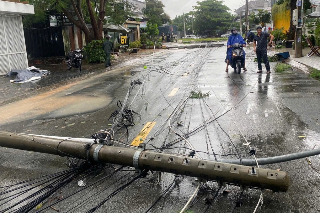Mưa kèm gió lớn, cây xanh bật gốc đè trúng ô tô và nhà dân ở Bình Dương - 3 Mưa kèm gió lớn, cây xanh bật gốc đè trúng ô tô và nhà dân ở Bình Dương - 3