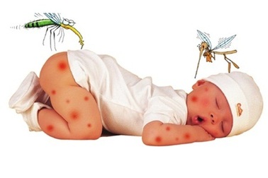 Mách mẹ bảo vệ bé yêu khỏi muỗi 