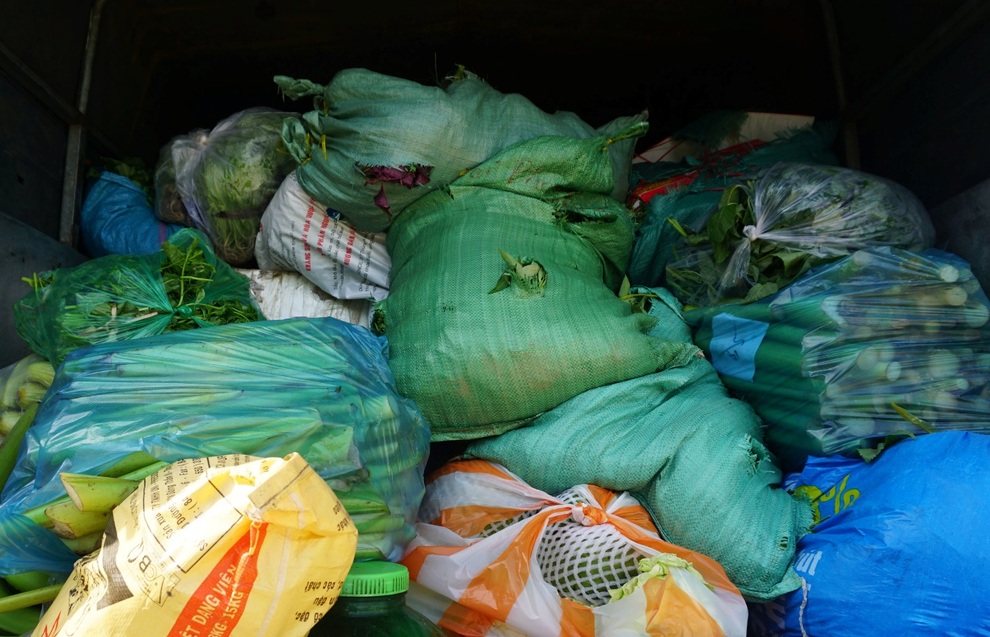 Người Quảng Nam hái rau, góp gạo tiếp sức Đà Nẵng chống dịch - 3