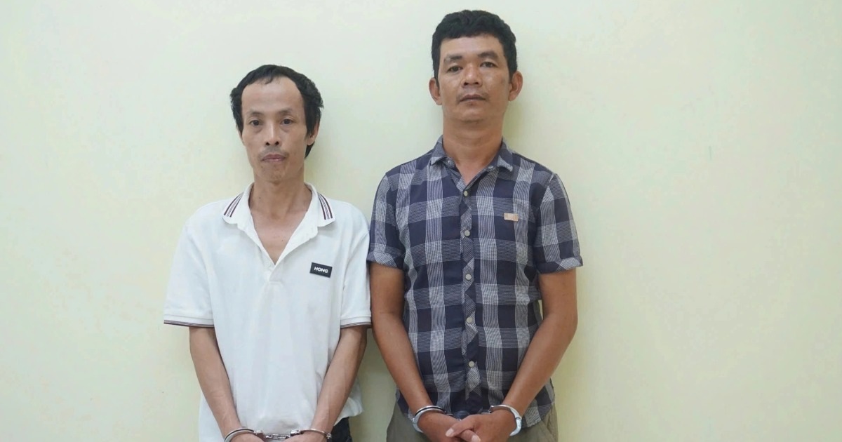 dantri.com.vn
