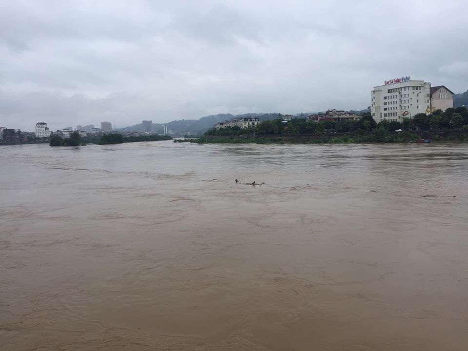 Lũ lớn nhấn chìm đảo Soi Tiền nằm giữa sông Hồng - 5 Lũ lớn nhấn chìm đảo Soi Tiền nằm giữa sông Hồng - 5