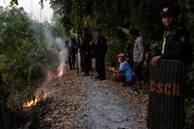 Cảnh sát đốt lửa chống muỗi khi tìm nghi phạm giết nhân viên quán cà phê