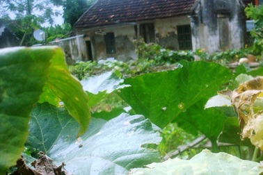 Án mạng đau lòng sau đêm tân hôn