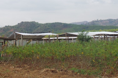 Hàng trăm ngôi “nhà chòi” mọc lên để nhận tiền bồi thường từ dự án