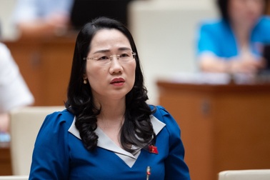 Bán hàng lưu động tràn về lừa đảo người dân, đại biểu đề xuất hướng xử lý