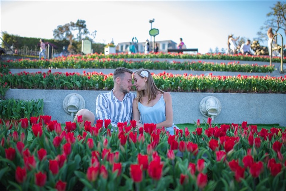 Valentine ngọt như mật tại thiên đường tulip Sun World Ba Na Hills - 1 Valentine ngọt như mật tại thiên đường tulip Sun World Ba Na Hills - 1
