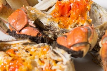 Cận cảnh loài cua lông Hong Kong cực đắt tiền triệu hút khách Việt