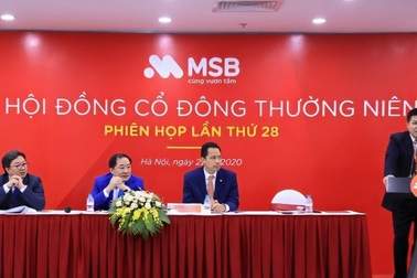 Đại hội cổ đông MSB đặt mục tiêu lợi nhuận năm 2020 đạt 1.439 tỷ đồng