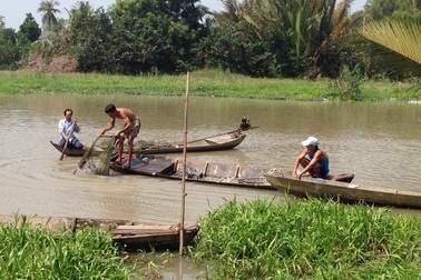 Lật xuồng trên sông, nam sinh viên mất tích