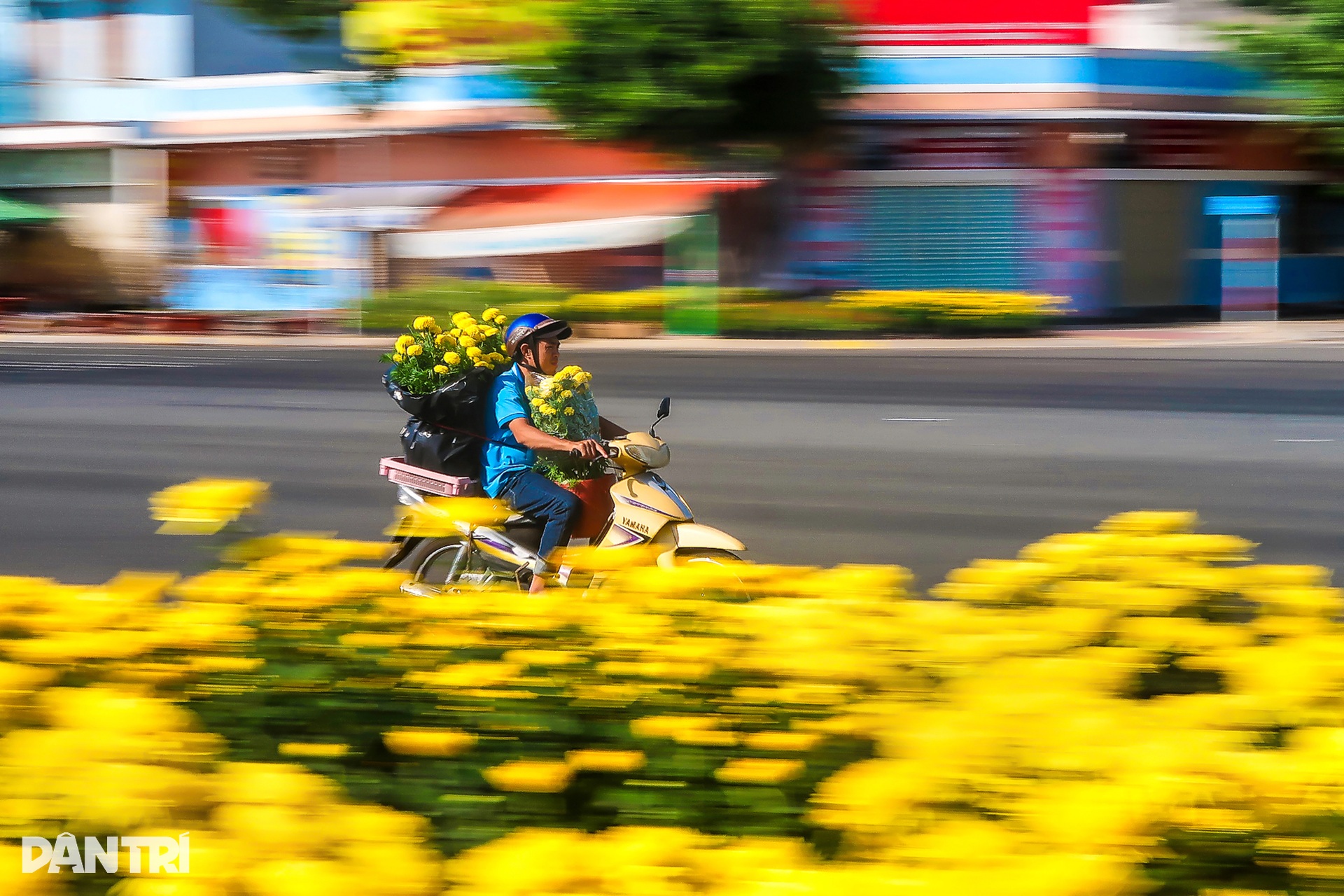 Độc giả mang mùa xuân khắp đất nước lan tỏa trên báo Dân trí - 14 Độc giả mang mùa xuân khắp đất nước lan tỏa trên báo Dân trí - 14