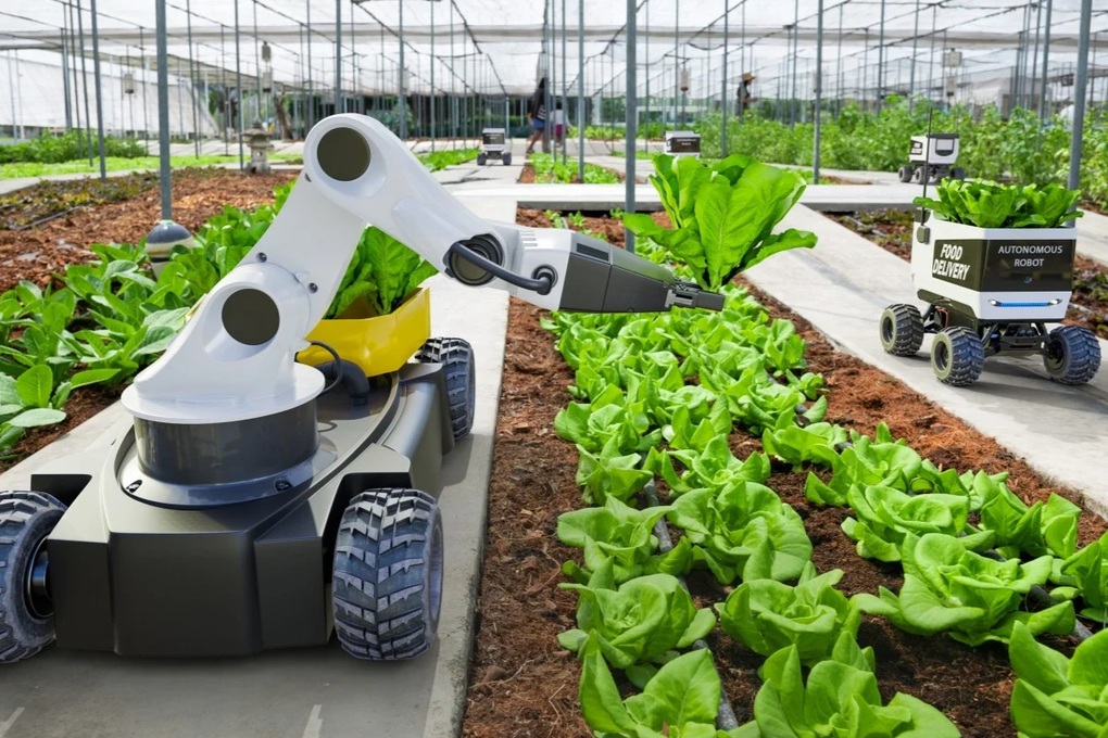 La technologie aide la Chine à battre le temps dans la course alimentaire - 1 Công nghệ giúp Trung Quốc vượt thời gian trong cuộc đua lương thực - 1