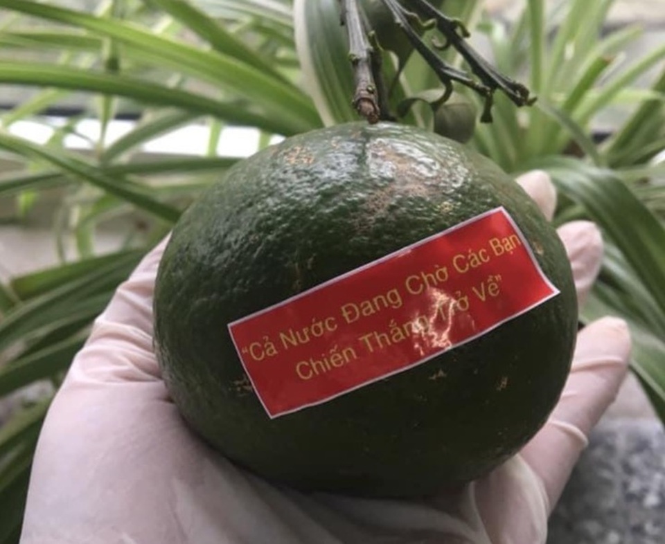 Nhân viên y tế Đà Nẵng xúc động nhận quả cam có lời nhắn nhủ “chờ trở về” - 1 Nhân viên y tế Đà Nẵng xúc động nhận quả cam có lời nhắn nhủ “chờ trở về” - 1