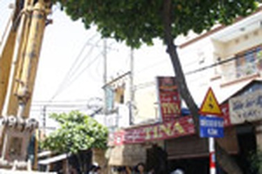 Một công nhân bị điện giật chết trên cây