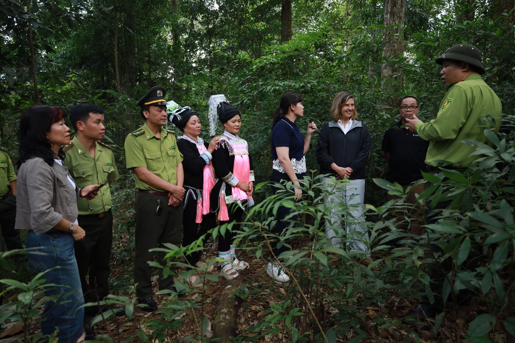 Canada hỗ trợ Việt Nam biến tài sản rừng thành doanh thu bền vững - 2 Canada hỗ trợ Việt Nam biến tài sản rừng thành doanh thu bền vững - 2