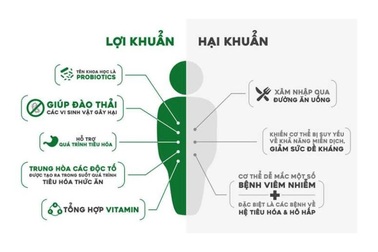 Giúp đường tiêu hóa khỏe mạnh nhờ bào tử lợi khuẩn