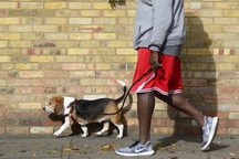 Startup cung cấp dịch vụ "dắt chó đi dạo" nhận 300 triệu USD vốn đầu tư