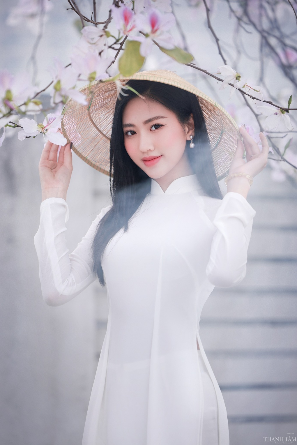 Dạo bước dưới hàng hoa ban thơ mộng ở Thủ đô - 7 Dạo bước dưới hàng hoa ban thơ mộng ở Thủ đô - 7