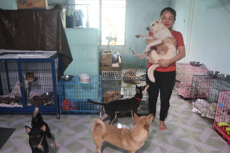 Người “mẹ” của những chú chó, mèo hoang ở Đà Nẵng - 6 Người “mẹ” của những chú chó, mèo hoang ở Đà Nẵng - 6
