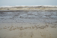 Vùng nước biển đen ngòm đang dịch chuyển trên vùng biển Dung Quất