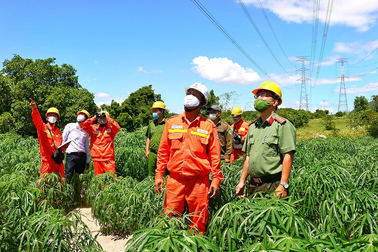 EVN cấp điện an toàn, ổn định dịp lễ 2/9