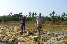 "Làng thương vợ nhất quả đất", nhà nào cũng làm ruộng nhưng chỉ đàn ông ra đồng