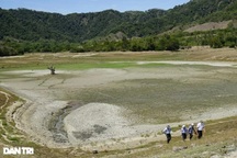 Dân trồng rẫy trên đất rừng phòng hộ: Chính quyền khó khăn thu hồi