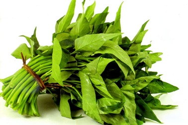 Chữa dị ứng, rôm sảy, mẩn ngứa với rau muống