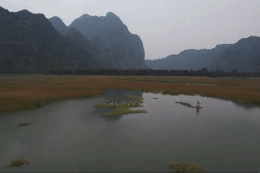 Phong cảnh hoang sơ của vùng đất ngập nước lớn nhất châu thổ sông Hồng