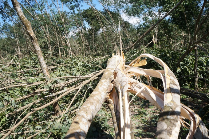 Bão số 10 thay đổi nhanh, rất khó dự đoán - Ảnh 1.