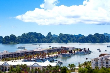 Chiêm ngưỡng những du thuyền 5*  tại Hạ Long