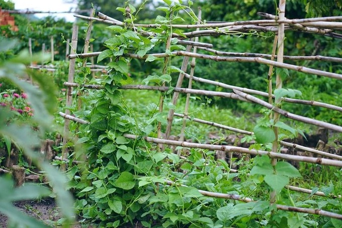 Gạt qua lùm xùm đạo nhái Lý Tử Thất, chủ nhân Bếp trên đỉnh đồi hài lòng về cuộc sống làm nông tự cung tự cấp, quanh quẩn bên căn bếp mỗi ngày - Ảnh 8.