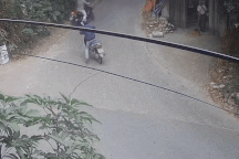 Xe tải bị tụt dốc đè bẹp xe máy và bài học khởi hành ngang dốc