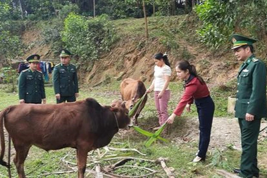 Đồng hành cùng phụ nữ biên cương, giúp nhiều hộ đổi đời - 1 Đồng hành cùng phụ nữ biên cương, giúp nhiều hộ đổi đời - 1