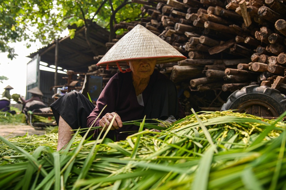 Cốm Hà Nội khiến bao người phải thương nhớ - 7 Cốm Hà Nội khiến bao người phải thương nhớ - 7