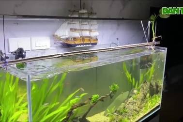 Chung cư cao tầng ở Hà Nội rung lắc