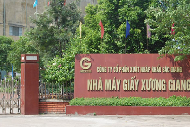 Doanh nghiệp lớn tại Bắc Giang “làm xiếc” trong hoạt động nhập khẩu phế liệu thế nào?