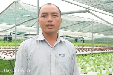 Mô hình rau thủy canh hồi lưu