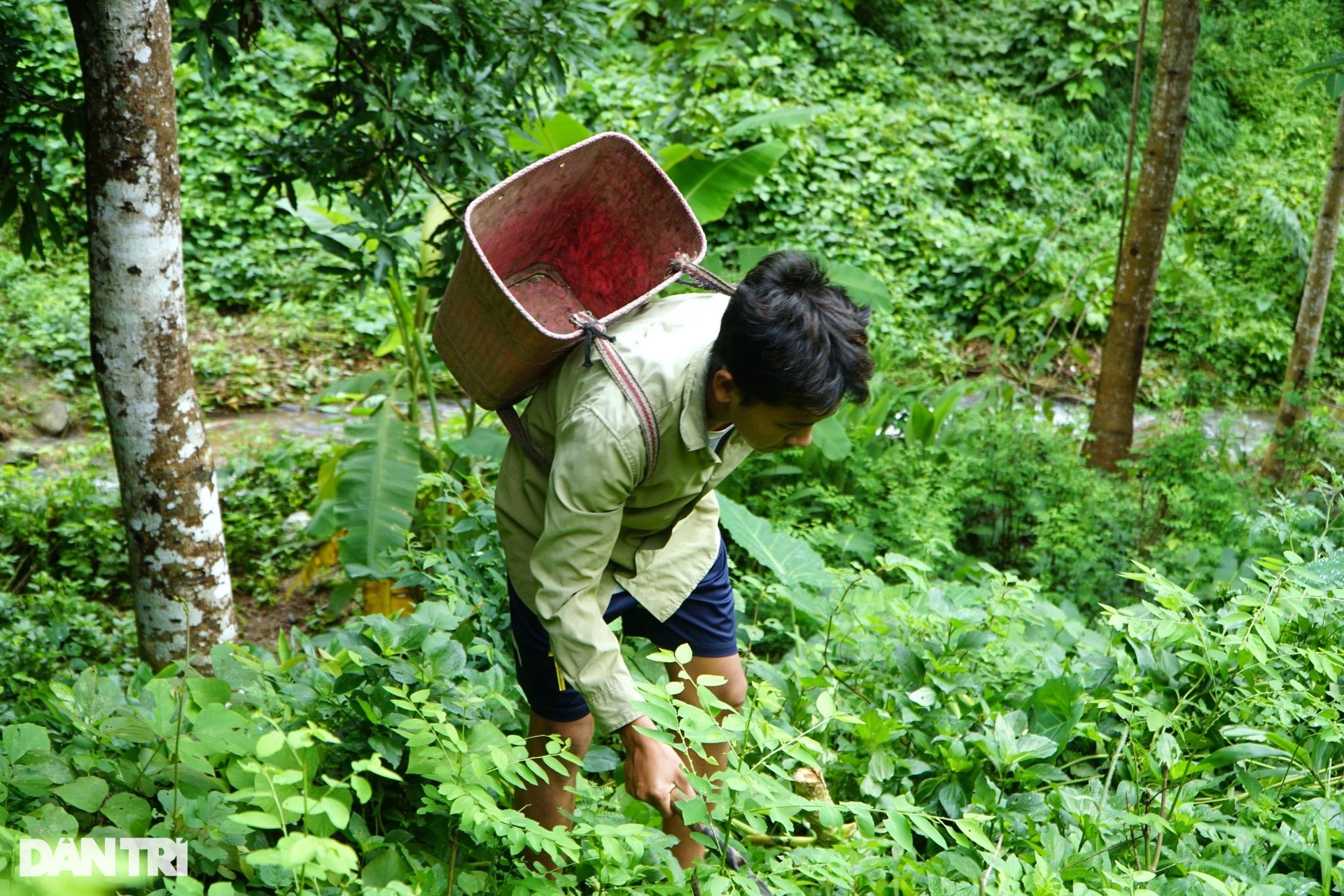 Kỳ nghỉ hè không như mơ của những đứa trẻ vùng cao - 1 Kỳ nghỉ hè không như mơ của những đứa trẻ vùng cao - 1